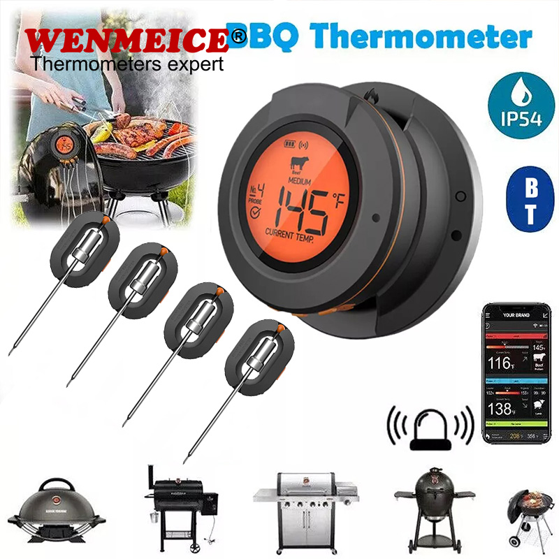 Kitchen Gadgets Under 500 - Termômetro Digital Bluetooth WENMEICE com Sensor
