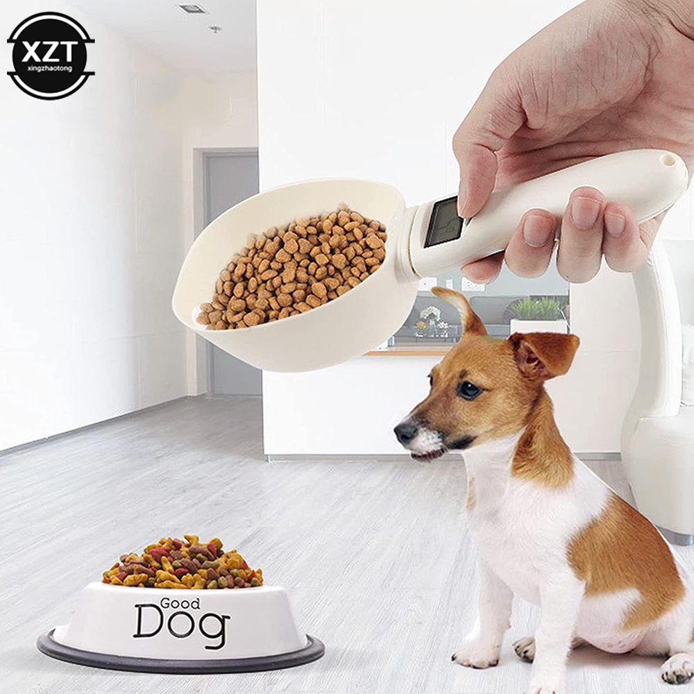 Kitchen Gadgets Under 500 - Balança de tamanho grande, colher de